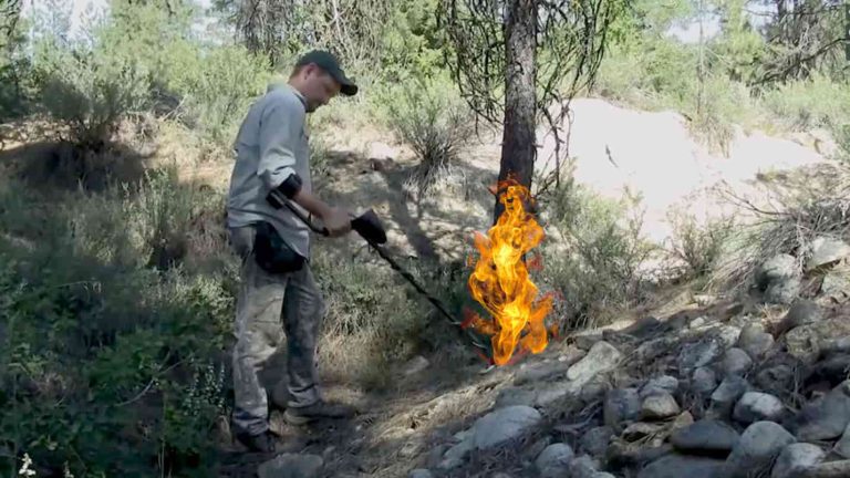 Home - Metal Detecting Tips